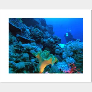 Coral Reef and Scuba Diver Posters and Art